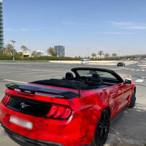 Rent Mustang Convertible in Dubai